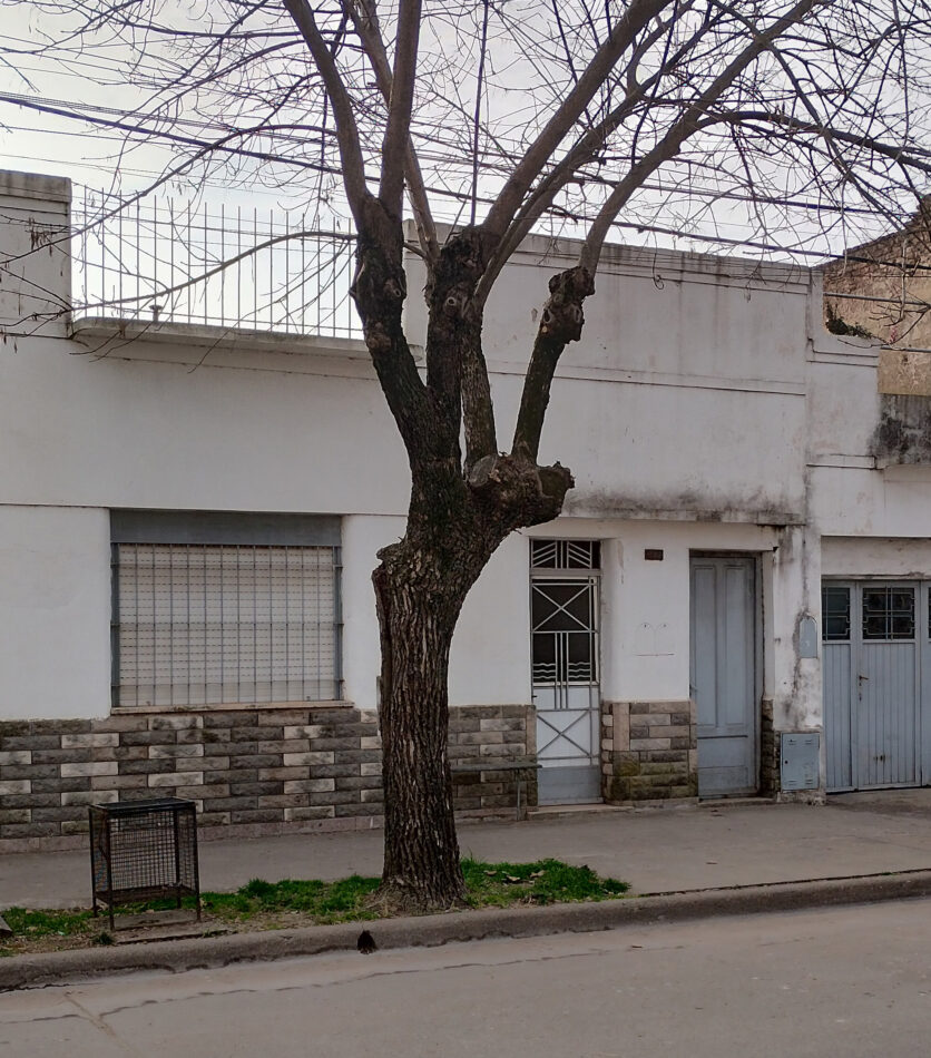 propiedades general lamadrid
